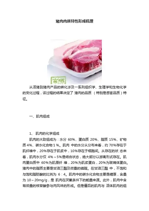 猪肉肉质特性形成机理