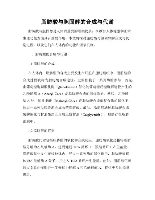 脂肪酸与胆固醇的合成与代谢