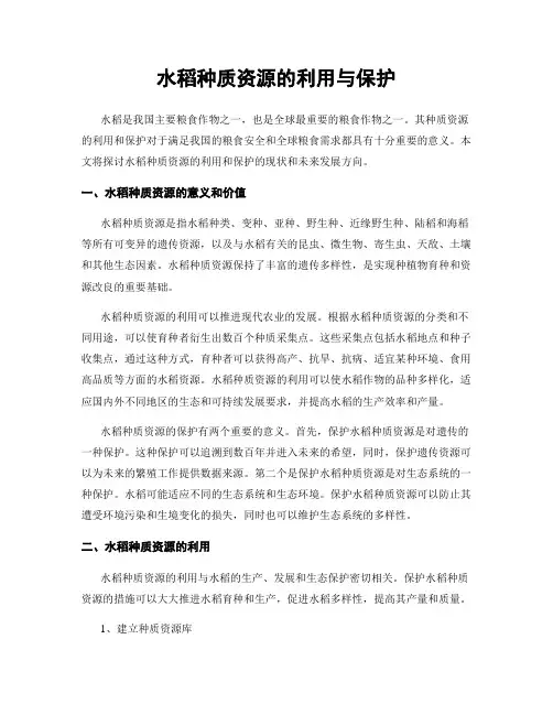 水稻种质资源的利用与保护