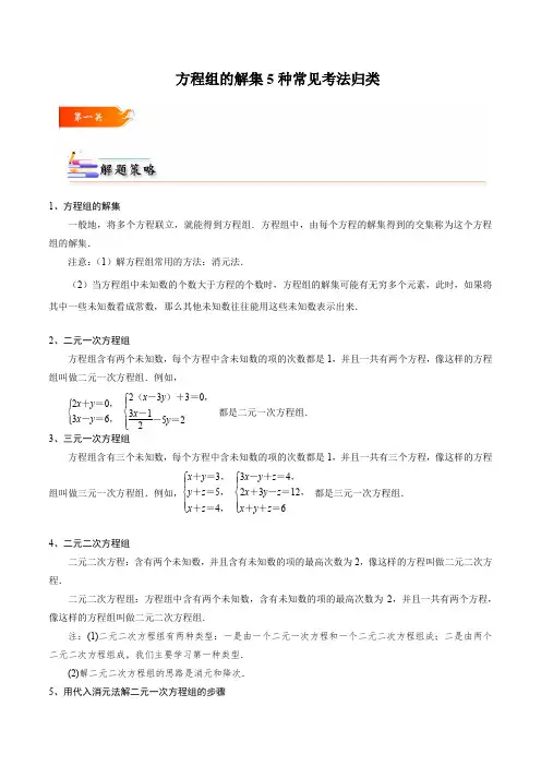 方程组的解题5种常见考法归类(原卷版)