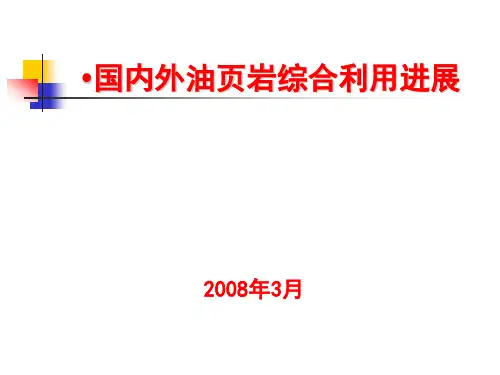国内外油页岩综合利用进展