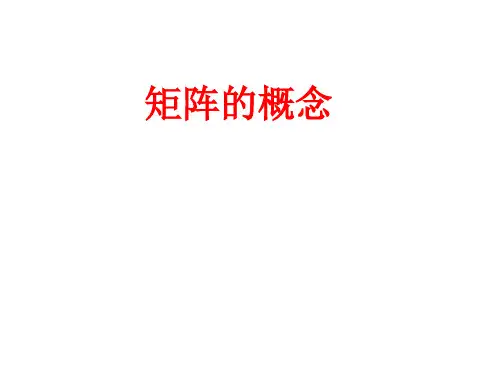 沪教版(上海)高二数学上册9.1矩阵的概念_课件