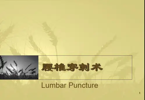 腰椎穿刺术ppt课件