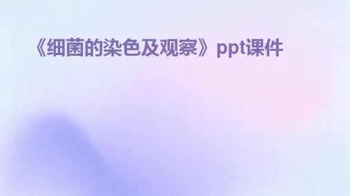 《细菌的染色及观察》课件