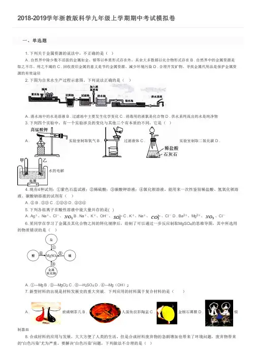 2018-2019学年浙教版科学九年级上学期期中考试模拟卷及参考答案