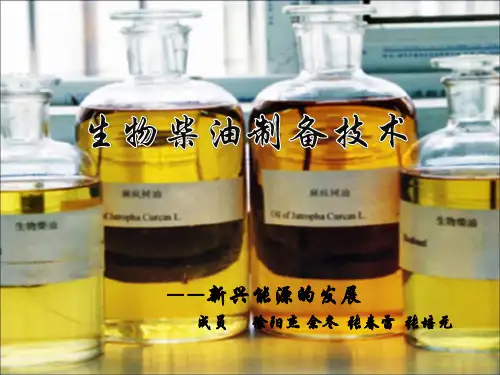 生物柴油制备技术