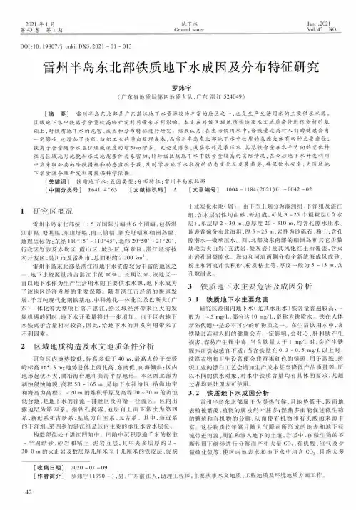 雷州半岛东北部铁质地下水成因及分布特征研究