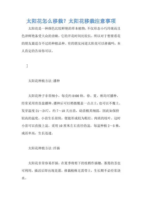 太阳花怎么移栽?太阳花移栽注意事项