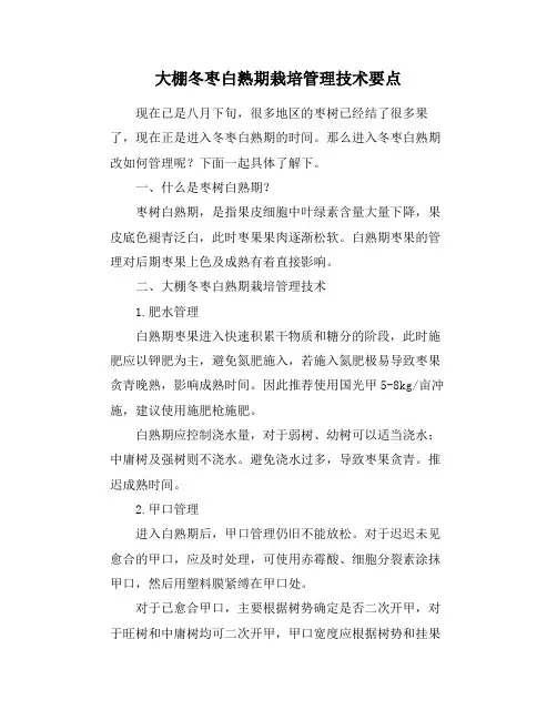 大棚冬枣白熟期栽培管理技术要点