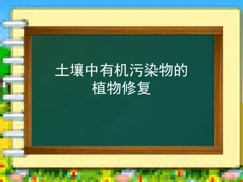 植物修复有机物污染土壤.pptx