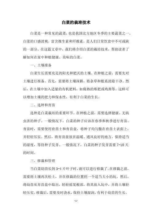 白菜的栽培技术