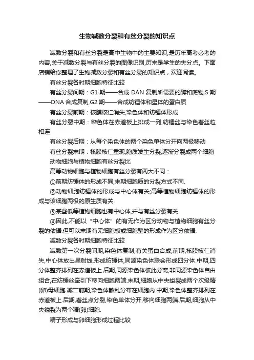 生物减数分裂和有丝分裂的知识点