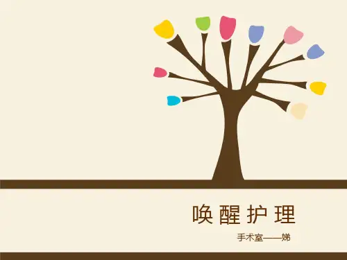 唤醒护理 ppt课件