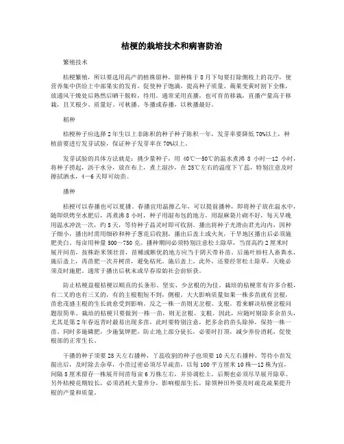 桔梗的栽培技术和病害防治