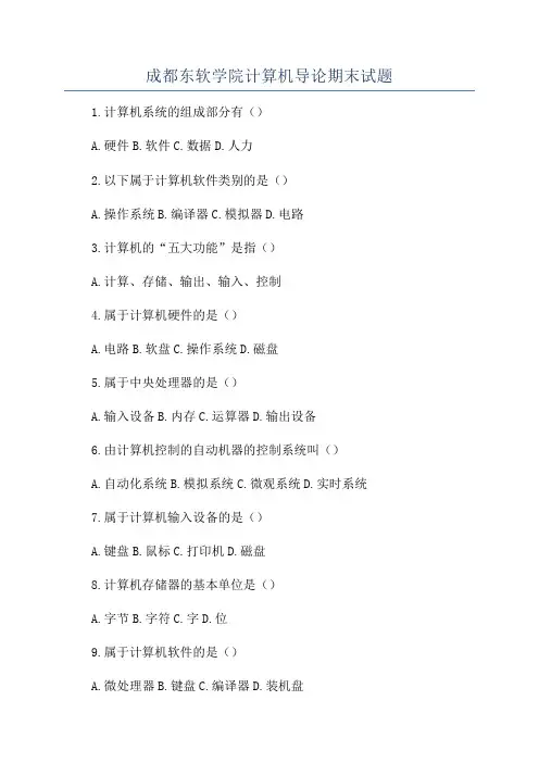 成都东软学院计算机导论期末试题