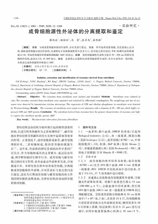 成骨细胞源性外泌体的分离提取和鉴定