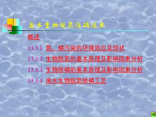 环保工程师-废水生物脱氮除磷技术