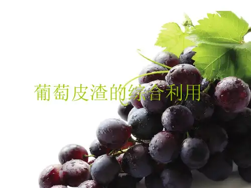 葡萄皮渣的综合利用