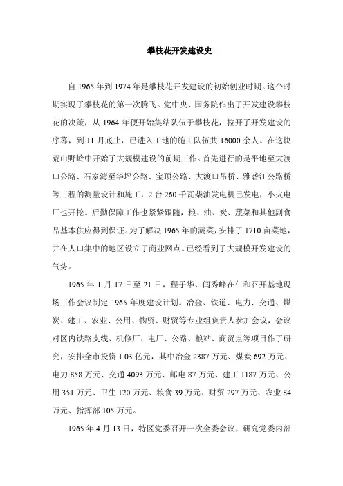 攀枝花开发建设史