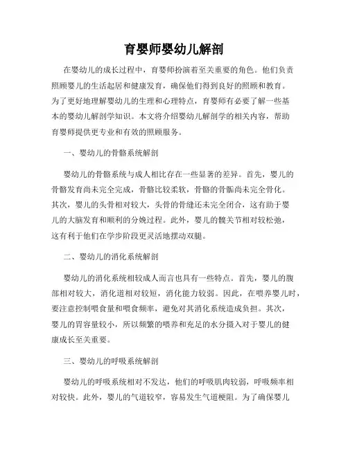 育婴师婴幼儿解剖