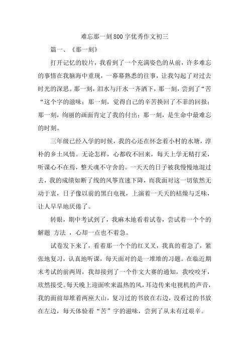 难忘那一刻800字优秀作文初三