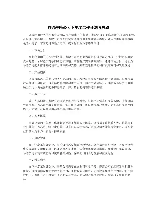 有关寿险公司下年度工作计划与思路