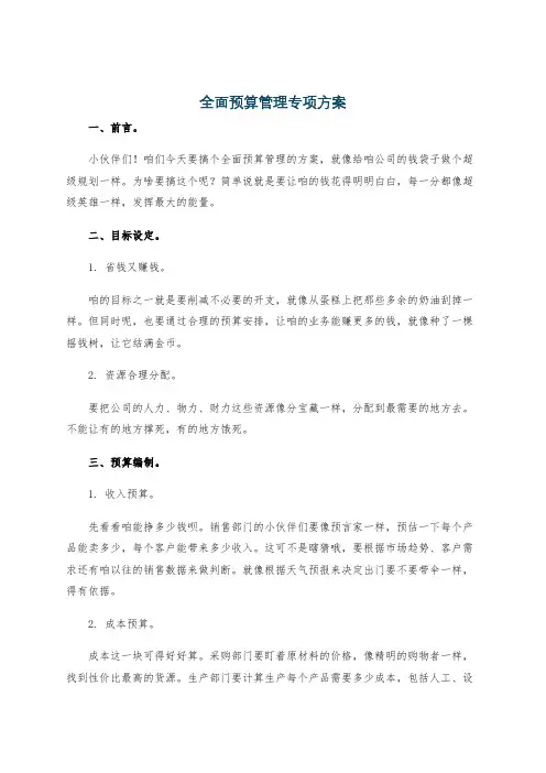 全面预算管理专项方案