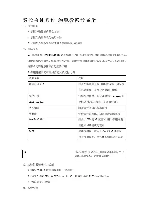 细胞骨架的显示 (实验)