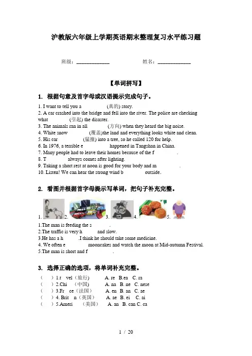 沪教版六年级上学期英语期末整理复习水平练习题