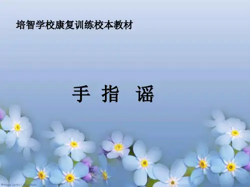 手指操