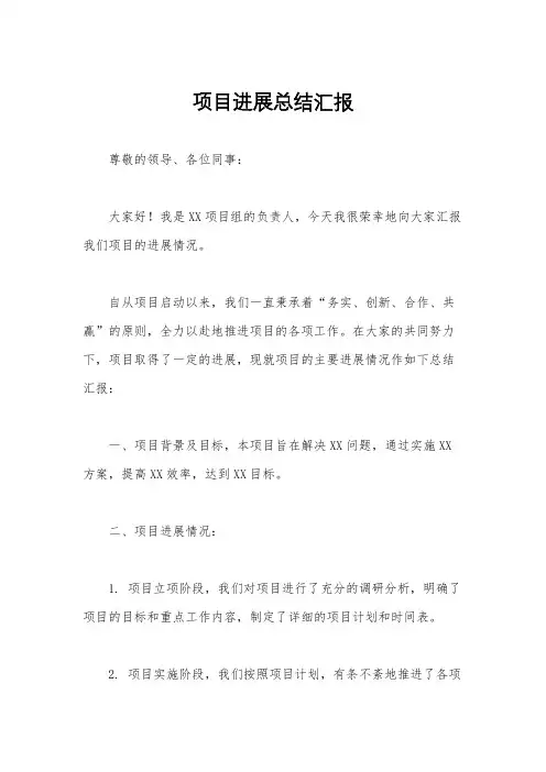 项目进展总结汇报