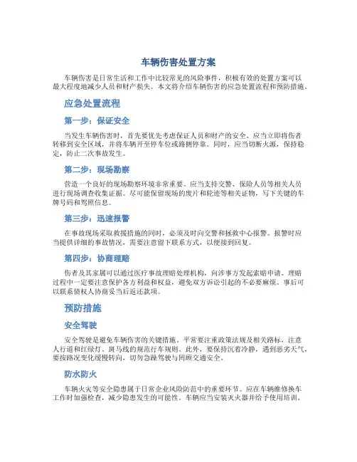 车辆伤害处置方案