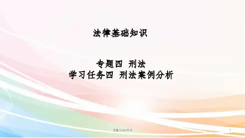 刑法——刑法案例分析ppt课件