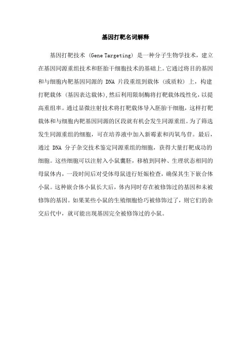 基因打靶名词解释