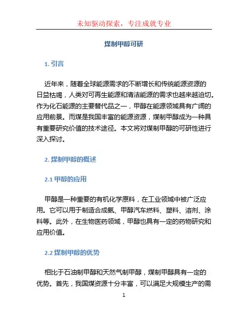 煤制甲醇可研