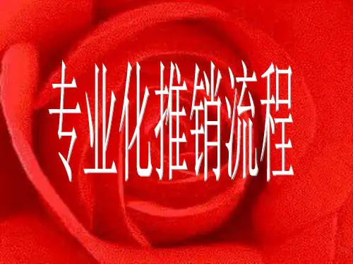 专业化销售流程PPT课件