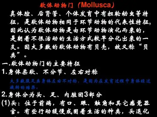 动物学 6软体动物门(Mollusca)