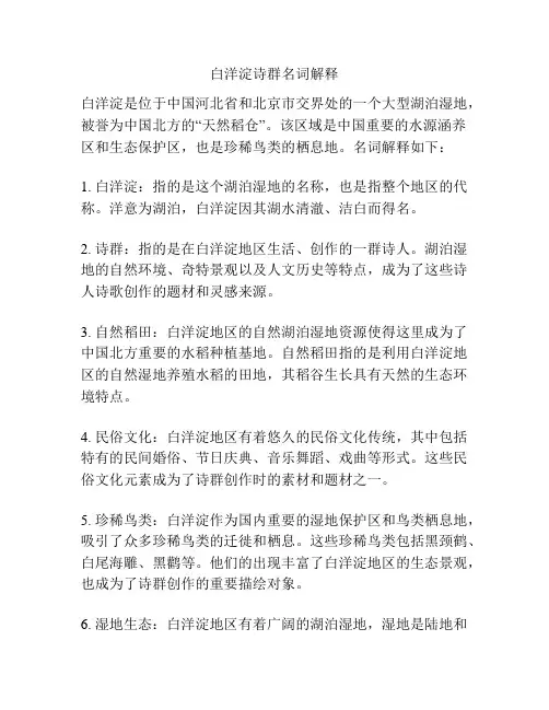 白洋淀诗群名词解释