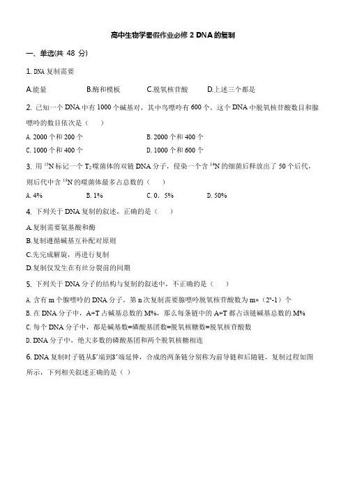 高中生物学暑假作业必修2 DNA的复制