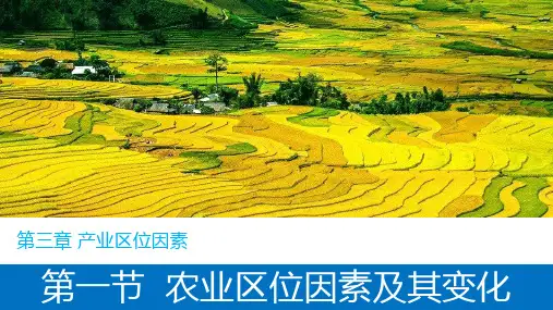 农业区位因素及其变化-高一地理课件(人教版2019必修第二册)