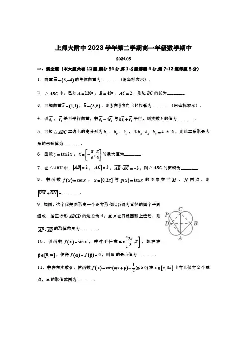 上海市上海师范大学附属中学2023-2024学年高一下学期期中考试数学试题