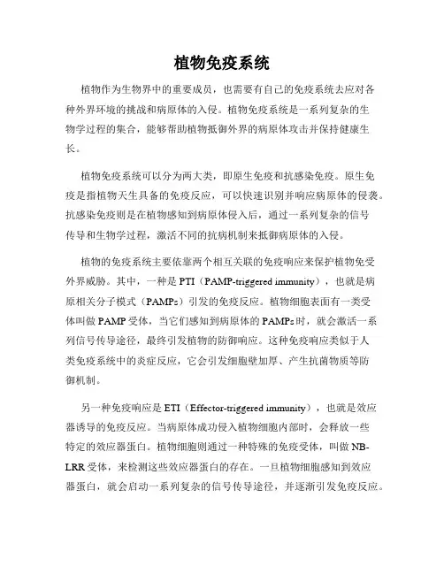 植物免疫系统
