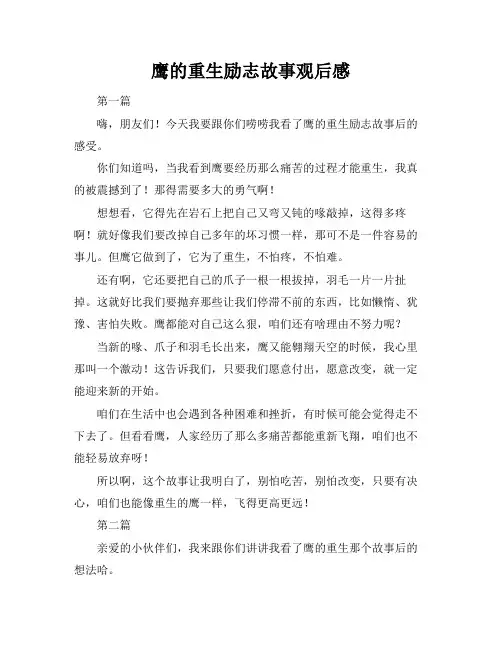 鹰的重生励志故事观后感