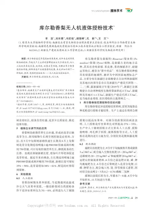 库尔勒香梨无人机液体授粉技术
