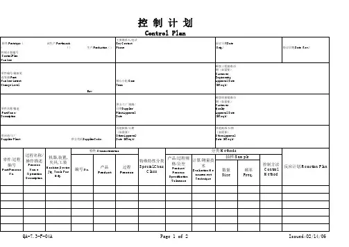 控制计划-中英文