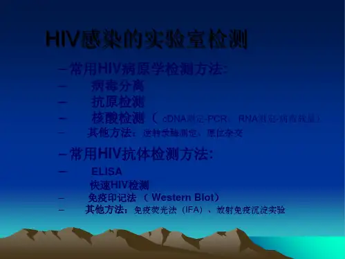 HIV感染的实验室检测(共36张PPT)