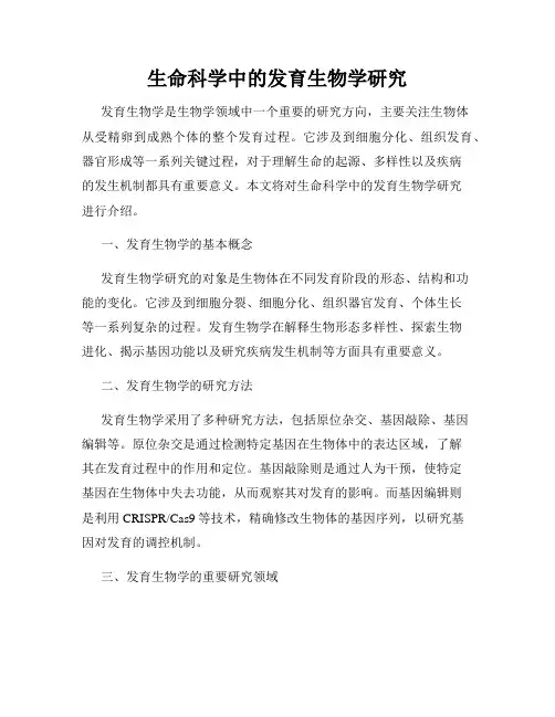 生命科学中的发育生物学研究