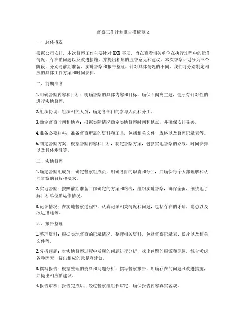 督察工作计划报告模板范文