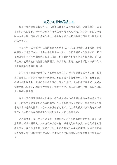 又见小可怜读后感100