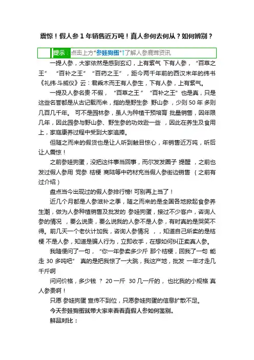 震惊！假人参1年销售近万吨！真人参何去何从？如何辨别？